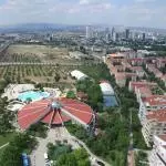 DJI 0021