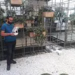 Sentire Hotel Drone Çekimi